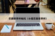 巴西世界杯帕托（小度巴西世界杯）